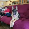 paulamcmillion792 - @paulamcmillion792 - TikTok