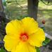 Paula Mizer - Facebook