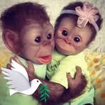 Paula Moats - Facebook