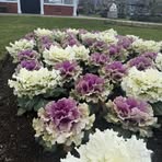 Paula Moorhead - Facebook