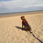 Paula Morley - @paula.morley.52 - Instagram