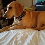 Paula Morse - @paula.morse.311 - Instagram