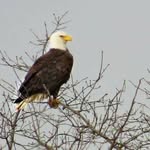 Paula Morse - @paula.morse.79 - Instagram