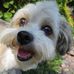 Paula Muccio - Facebook