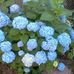 Paula Mull - Facebook