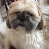 paula.mull - @paula.mull - TikTok