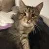 💗Paula💗 - @paula.muther - TikTok