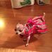 Paula Nation - Facebook