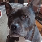 Paula Russell Nee - Facebook