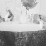 paula noack - @noack431 - Instagram