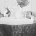 paulanoack - @1476_paula - Instagram