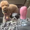 Paula Holden - @paulaholden - TikTok