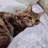 PaulaGolden - @paulagoldenfyqzeki - TikTok