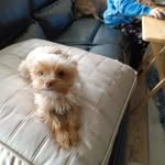 Paula Olson - @paulajolson2003 - Instagram