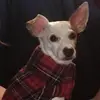 Paula Olson - @user9925325263663 - TikTok