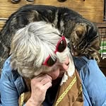 Paula Olson - @dressagelibrarian - Instagram