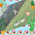 Paula Otto - @paula_1234579 - Instagram