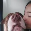 ... - @paula.pabon253 - TikTok