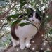 Paula Packard - Facebook