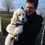 paula paradise - @blissoutstandardpoodle - Instagram