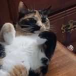 Paula Parks - @pjpnana - Instagram