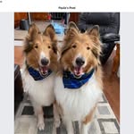 Paula Dahr-Partridge - @foxnewsjunkie - Instagram