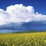 Paul - @paulapateangmailcom - Instagram