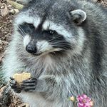 Paula Proffitt - @proffittp - Instagram