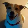 Paula Proffitt - @paula.proffitt8 - TikTok