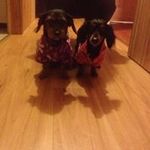 Paula Provost Weightman - @provostweightman - Instagram