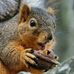 Paula Pugh - Facebook