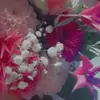 Paula Ragert - @paularagert2 - TikTok