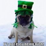 Paula Ready - @pready_irish - Instagram