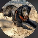 Paula Redden Guffey - @paulareddemguffey0069 - Instagram
