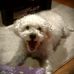 Paula Redden - Facebook