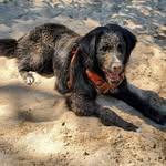 Paula Redden Guffey - @guffeng - Instagram