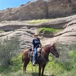 Paula Gustafson Reno - @paulareno1959 - Instagram