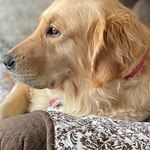 Moritz Jurgens - @paula.roland.77 - Instagram