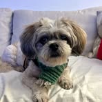 Paula Rounds - Facebook