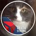 Paula Rubin - Facebook
