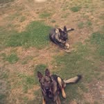 @paula_riedel.ruperts_ - Instagram