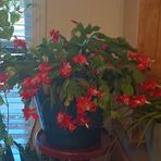 Paula Ruppert - Facebook