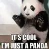Panda - @paulasachs6 - TikTok