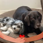 Paula Kelley Salisbury - @paulajeansalisbury - Instagram