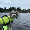 Paula loves Pickles - @paulasalisbury948 - TikTok
