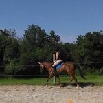 Paula Salisbury - @salisburystables - Instagram