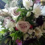 Paula Salisbury - @paulasalisburynz - Instagram