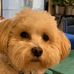 Paula Scheidecker - Facebook