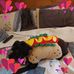 Paula Schell - Facebook