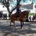 Paula Saldanha Scherer - Facebook